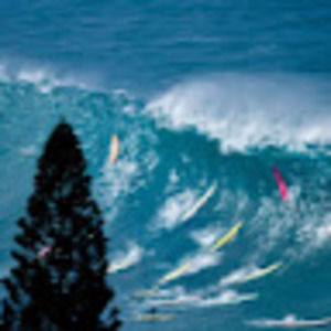 Meet your Posher, Norman